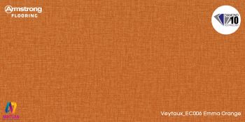 san-vinyl-armstrong-my