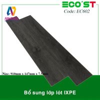 SÀN NHỰA HÈM KHÓA ECOST 602